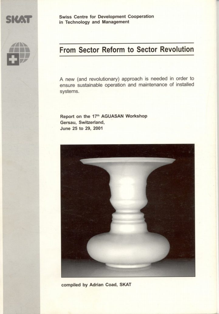 Book Cover: From Sector Reform to Sector Revolution