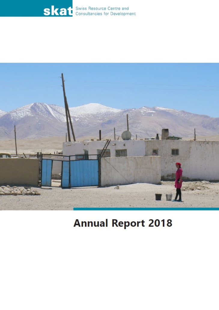 Book Cover: Skat Consulting Annual Report 2018